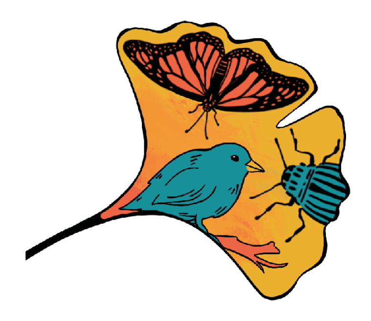 Diversité relationnelle