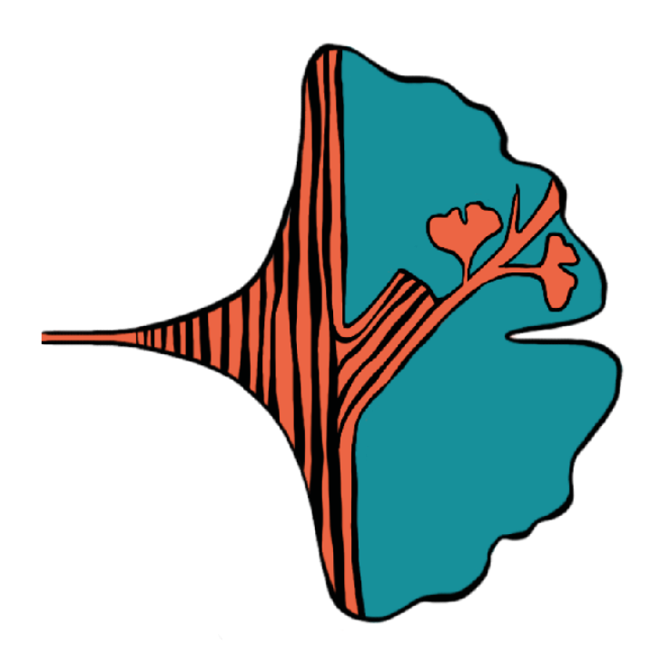 Gouvernance adaptative